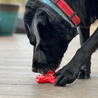 Starfish Nylon Dog Chew Toy for Aggressive Chewers | USA Made | SodaPup - BIG FRENCHIES
