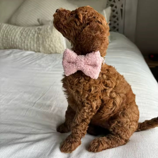Personalized Teddy Pink Classic Set