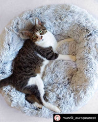 Mr. Peanut's 28" OrthoPlush® Pet Bed - Snowflake White Two Tone - BIG FRENCHIES