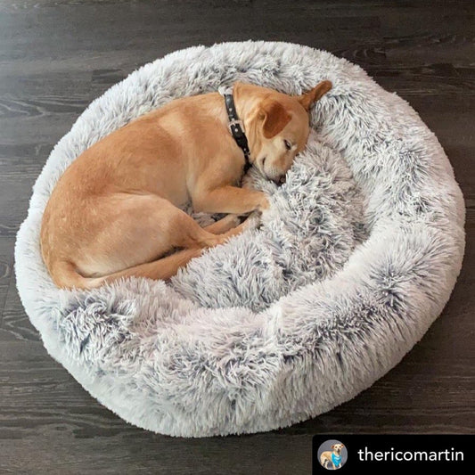 Mr. Peanut's 28" OrthoPlush® Pet Bed - Snowflake White Two Tone - BIG FRENCHIES
