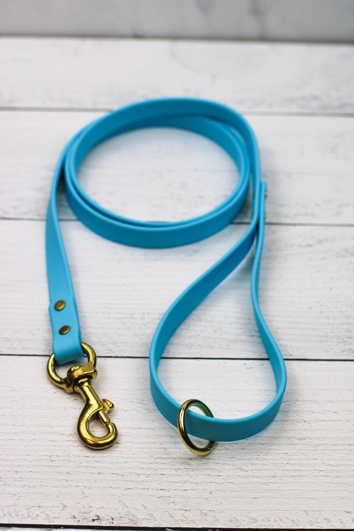 Blueberry Bliss Biothane Leash-Pet Collars & Leashes-BIG FRENCHIES-Le Gray Haus