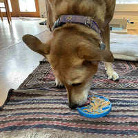 Air Nylon eCoin Lick Mat for Dogs - Durable Enrichment Toy | SodaPup - BIG FRENCHIES