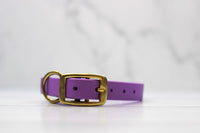 Taro Tango Biothane Collar