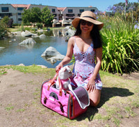 Mr. Peanut's Gold Series Standard Size Airline Compliant Pet Carrier - BIG FRENCHIES