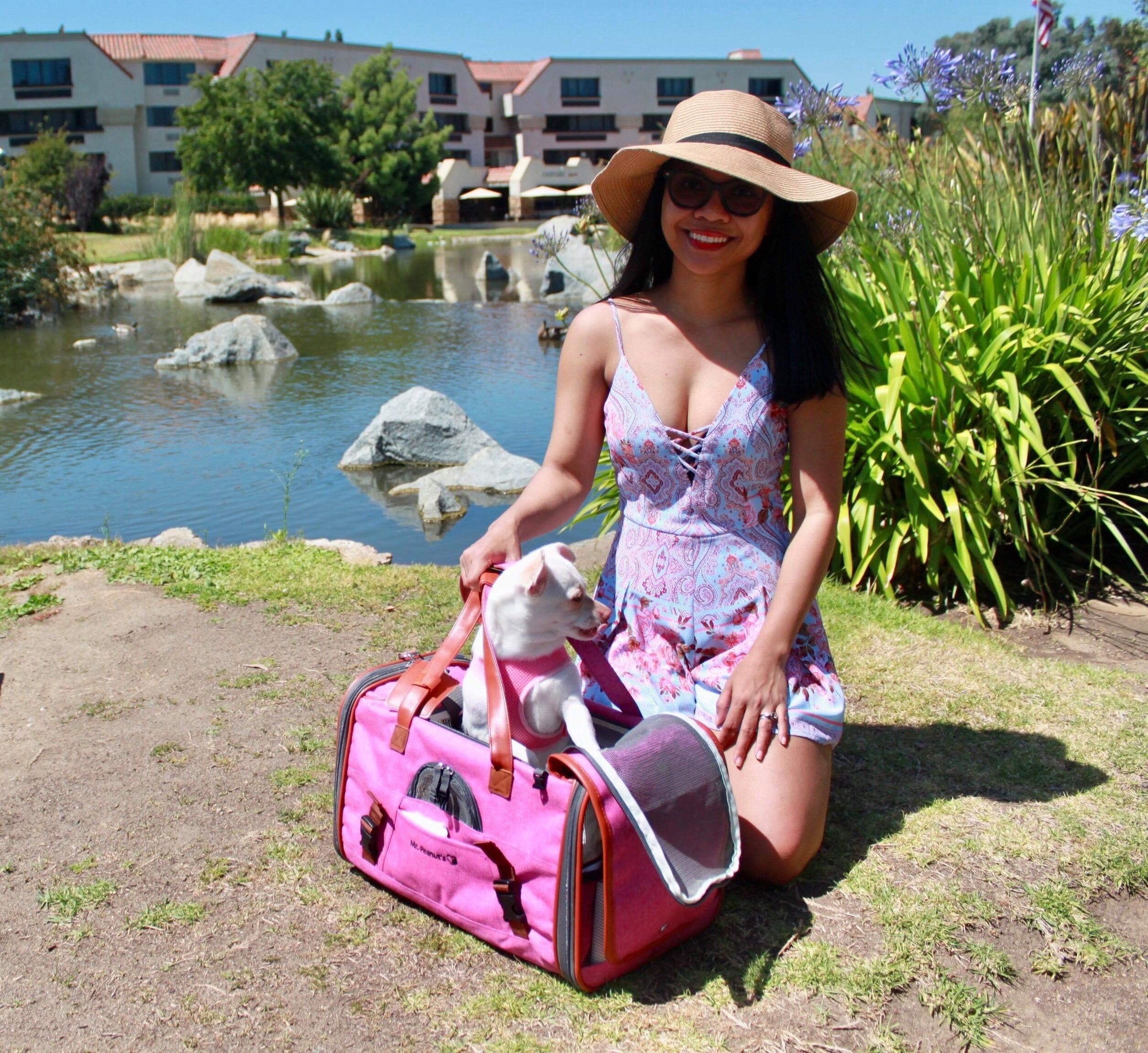 Mr. Peanut's Gold Series Standard Size Airline Compliant Pet Carrier - BIG FRENCHIES