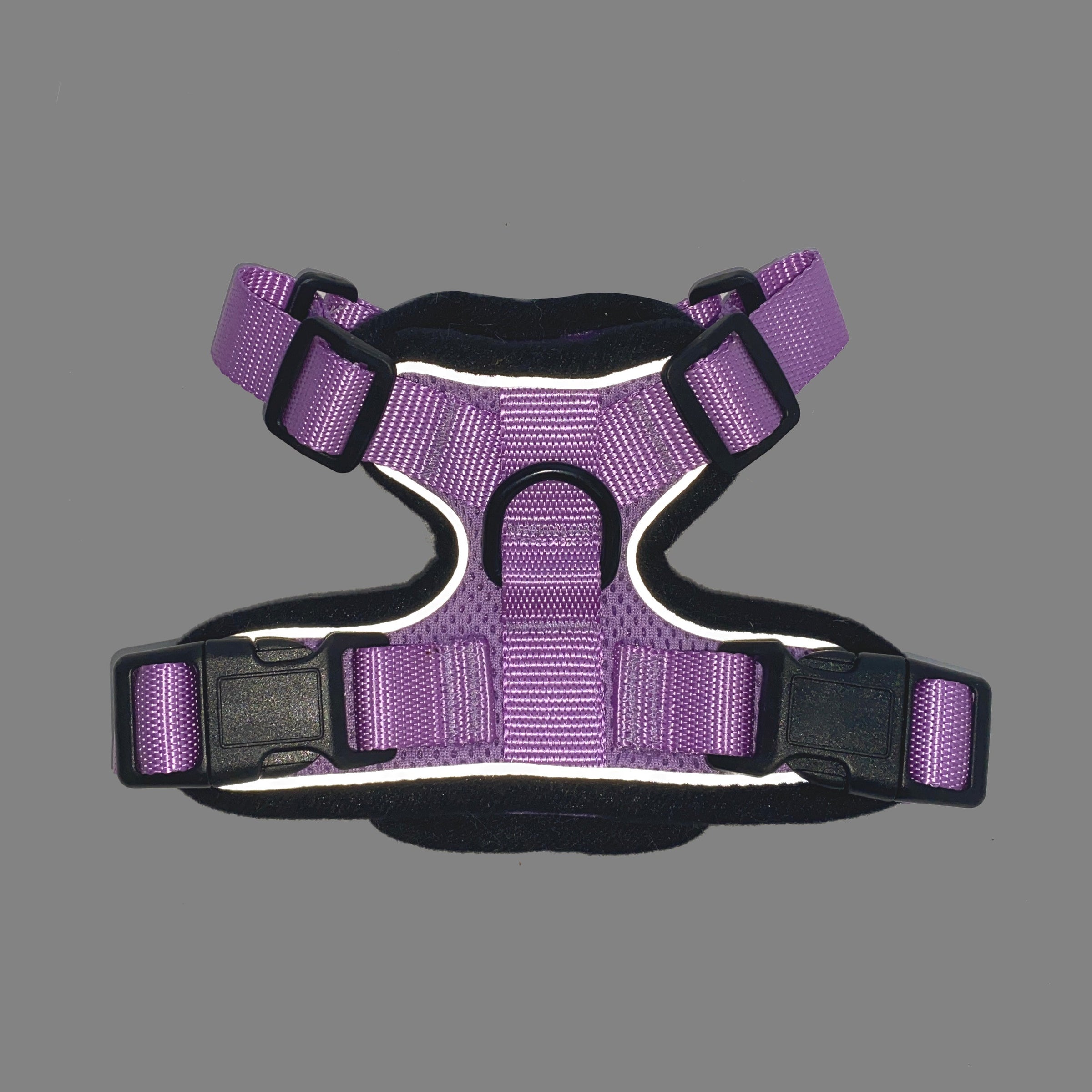 Mr. Peanut's PurrTrek Reflective Cat Harness with Matching Leash - BIG FRENCHIES