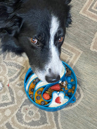Wave eBowl Deep Slow Feeder Dog Bowl for Enrichment | Made in USA - BIG FRENCHIES