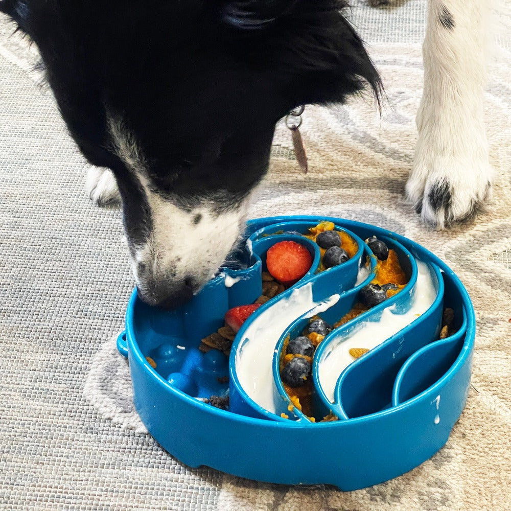 Wave eBowl Deep Slow Feeder Dog Bowl for Enrichment | Made in USA - BIG FRENCHIES