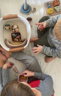 LYTL®️ Montessori Playroom Bundle – 6 Toys + Free Shipping - BIG FRENCHIES