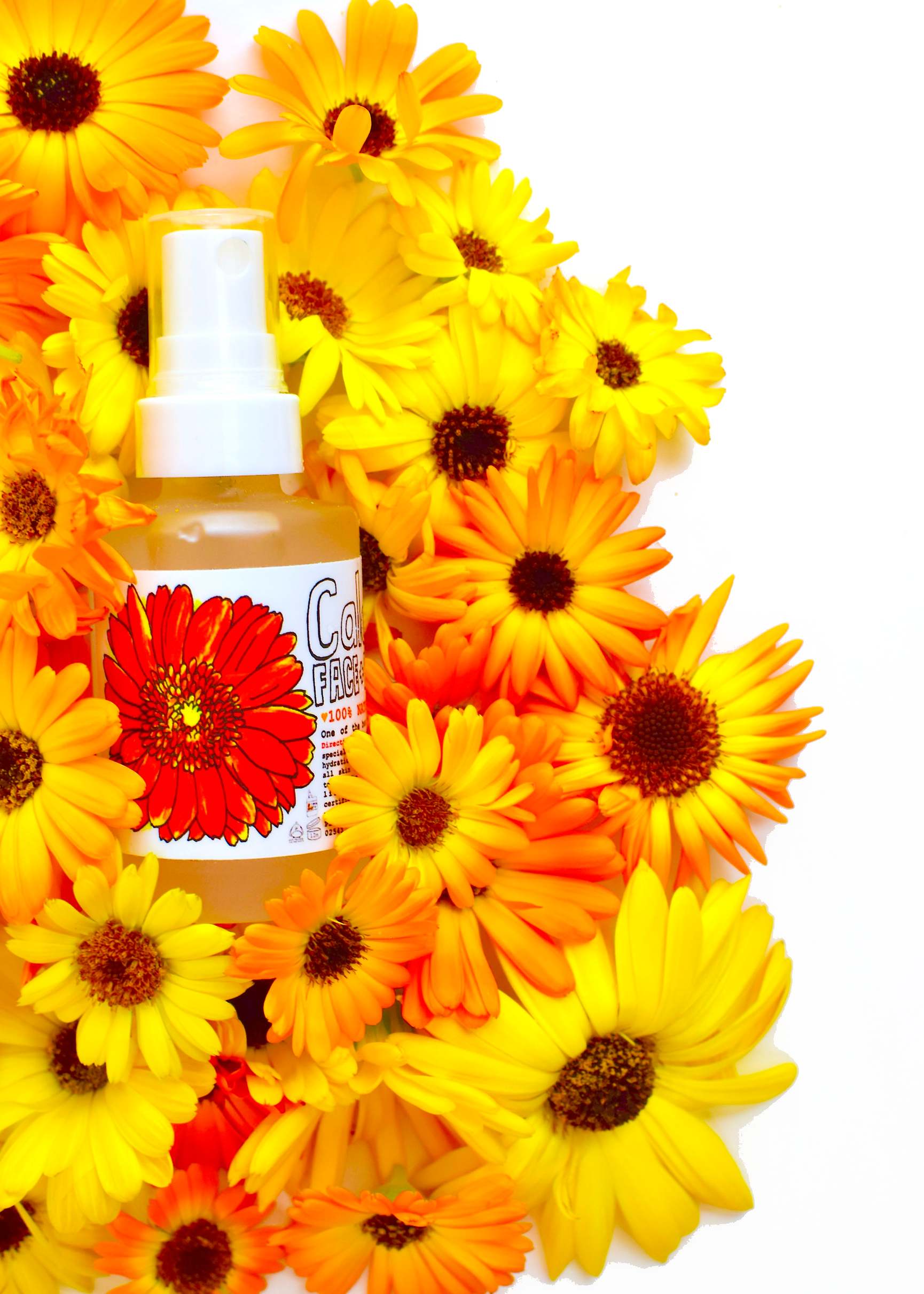 Calendula Face + Body Mist - BIG FRENCHIES