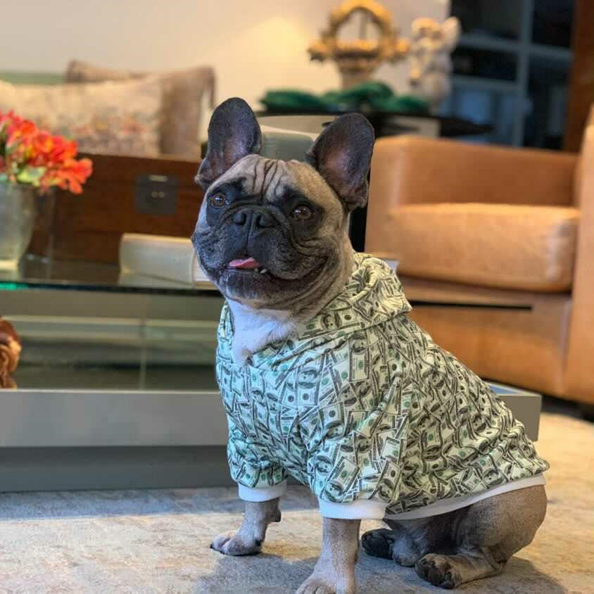Money Print Dog Hoodie - BIG FRENCHIES
