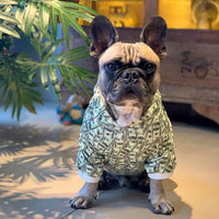 Money Print Dog Hoodie - BIG FRENCHIES