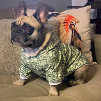Money Print Dog Hoodie - BIG FRENCHIES