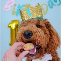 Happy Birthday Dog Treats Gift Box - BIG FRENCHIES