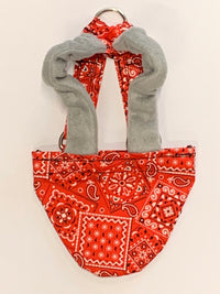 Hen Holster Bird Diaper/Harness (chicken diaper, duck diaper, pigeon diaper with Removable Vinyl Liner)