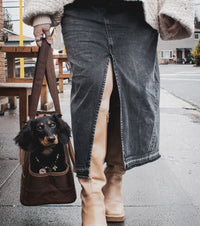 Chocolate Brown Pet Tote Bag - BIG FRENCHIES
