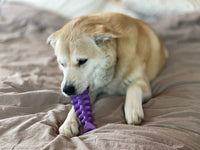 Fish Bone Nylon Dog Toy for Aggressive Chewers | USA Made | SodaPup - BIG FRENCHIES