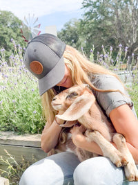 Farmhouse Artisan Goat Milk & Tallow Soap Collection - BIG FRENCHIES