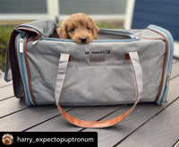 Mr. Peanut's Gold Series Big Apple XL Expandable Pet Carrier V3.0 - BIG FRENCHIES