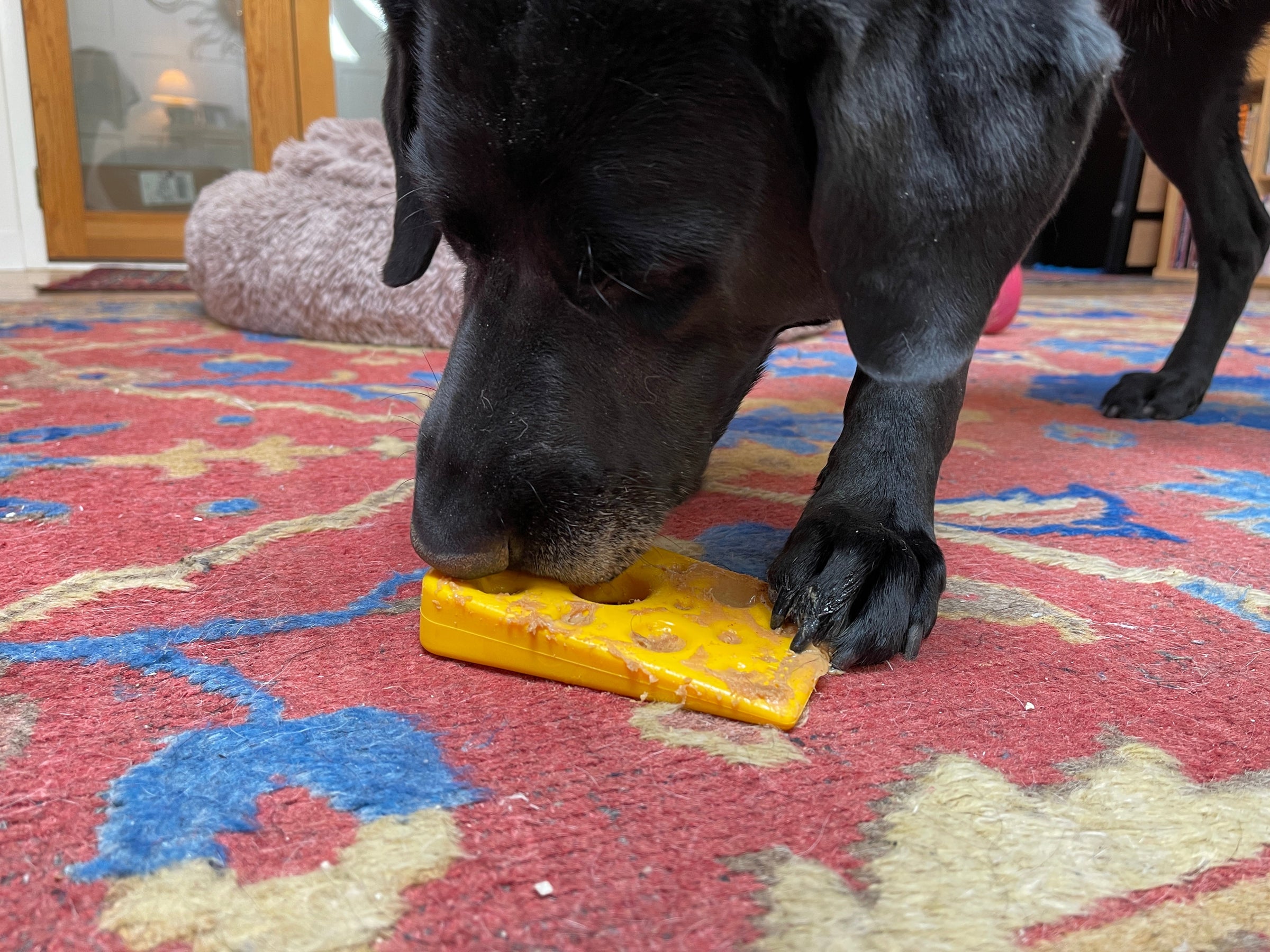 Swiss Cheese Wedge Nylon Dog Chew Toy for Aggressive Chewers | SodaPup - BIG FRENCHIES