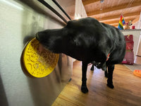 Rubber Duckies emat - Enrichment Lick Mat for Dogs and Cats - with Suction Cups | Bath Time Design | SodaPup USA Made - BIG FRENCHIES