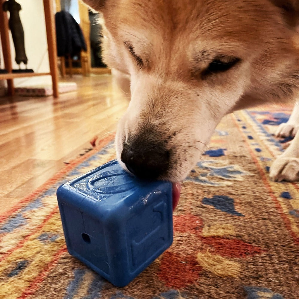 Love Cube eDispenser - Durable Rubber Chew Toy & Treat Dispenser | USA Made - BIG FRENCHIES