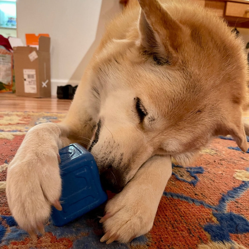 Love Cube eDispenser - Durable Rubber Chew Toy & Treat Dispenser | USA Made - BIG FRENCHIES