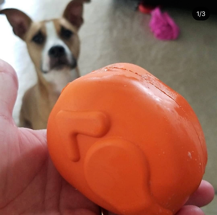 Roasted Turkey Dog Chew Toy & Treat Dispenser - USA Made | SodaPup - BIG FRENCHIES