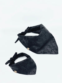 'Andy' Reversible Pet Bandana
