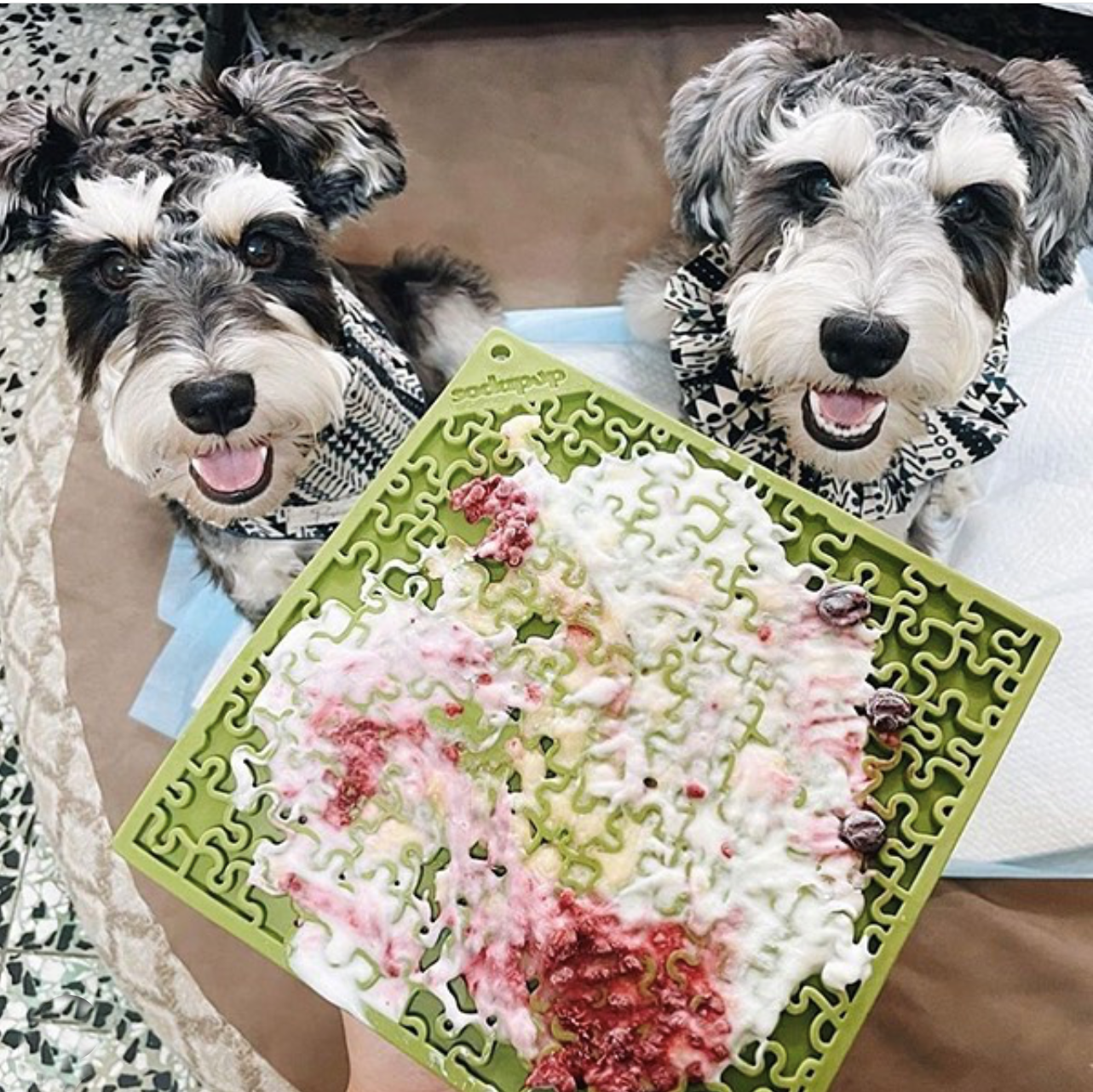 Jigsaw Puzzle eMat - Enrichment Lick Mat for Dogs and Cats | eMat Enrichment Toy for Anxiety Relief | USA Made - BIG FRENCHIES