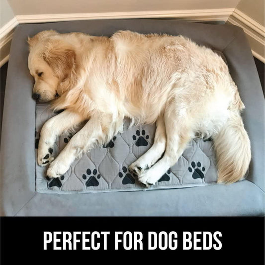 Mr. Peanut's Washable Reusable Pee Pads - Set of 3 - Thermal Waterproof and Leakproof Pet Carrier Comfort Mat - Available in 2 Sizes - BIG FRENCHIES