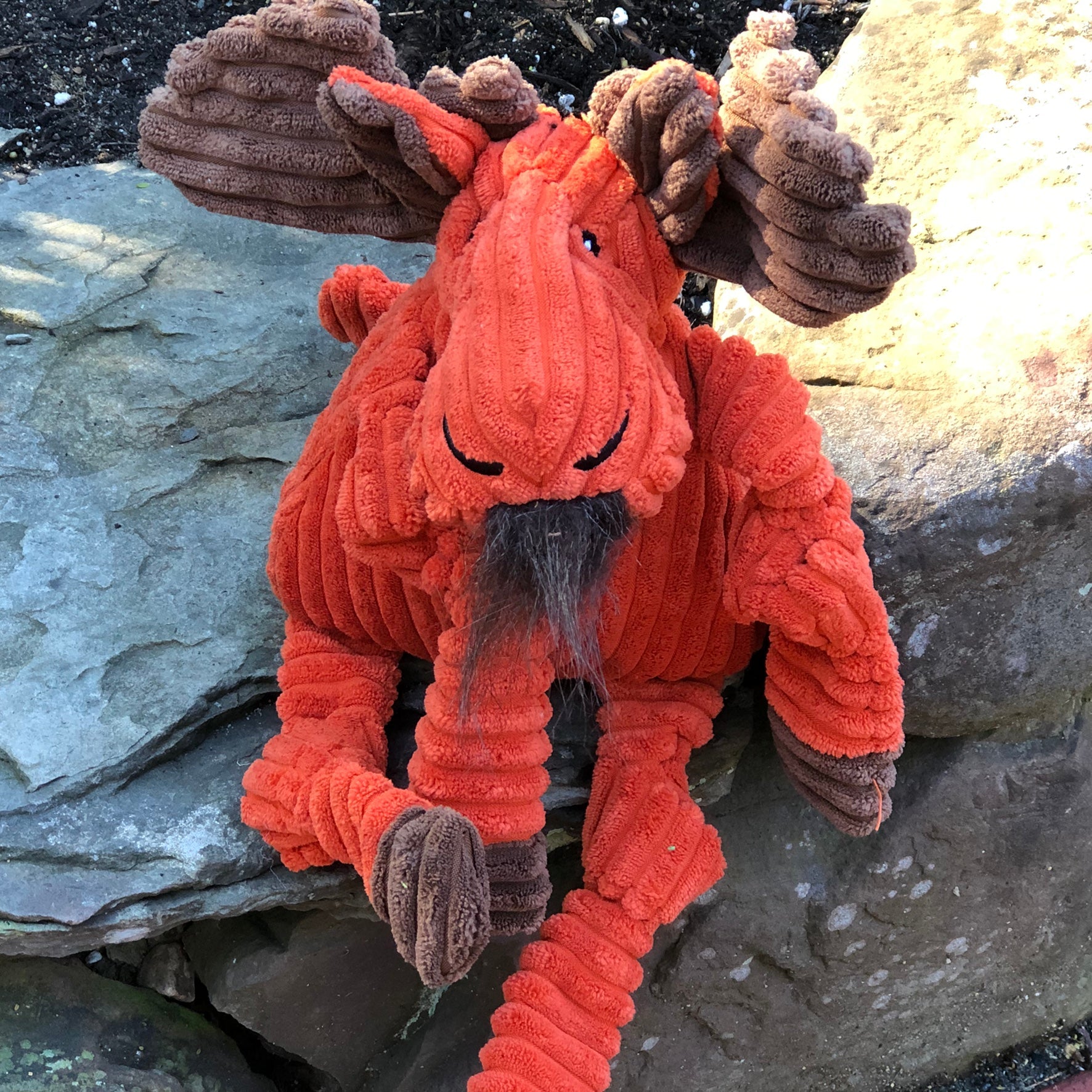 Morris Moose Knottie® Plush Dog Toy - BIG FRENCHIES