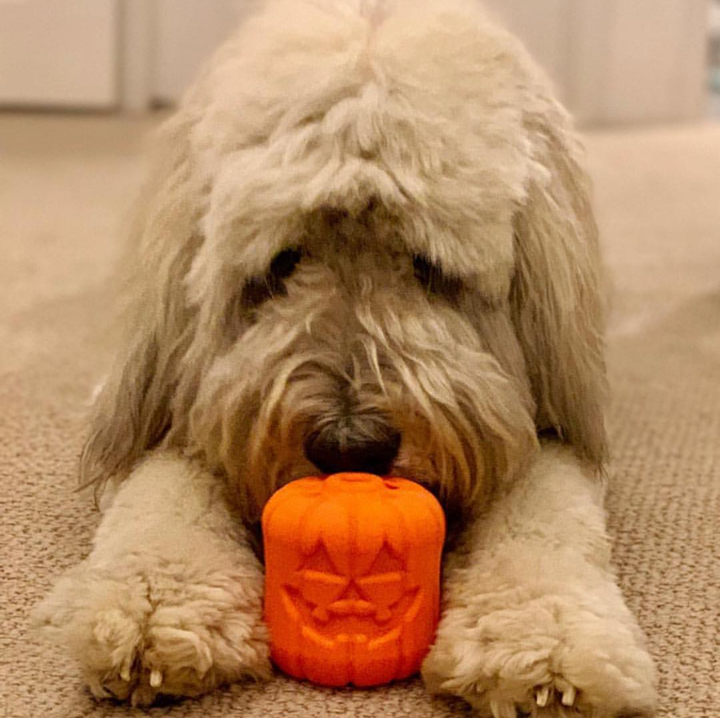 Jack O' Lantern Dog Toy - Durable Halloween Chew Toy for Large Dogs | USA Made - BIG FRENCHIES