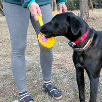 eStick Hand-Held Dog Enrichment Toy - Interactive Lick Stick | USA Made - BIG FRENCHIES