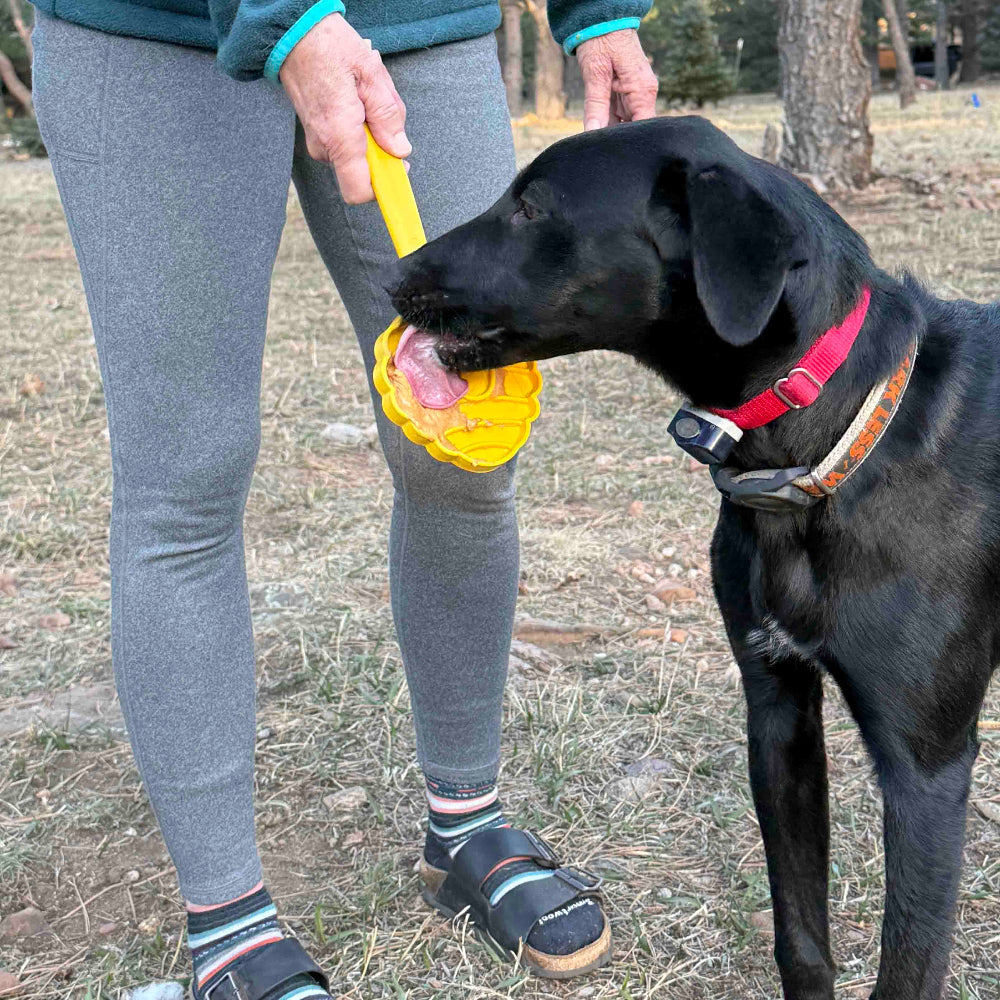 eStick Hand-Held Dog Enrichment Toy - Interactive Lick Stick | USA Made - BIG FRENCHIES