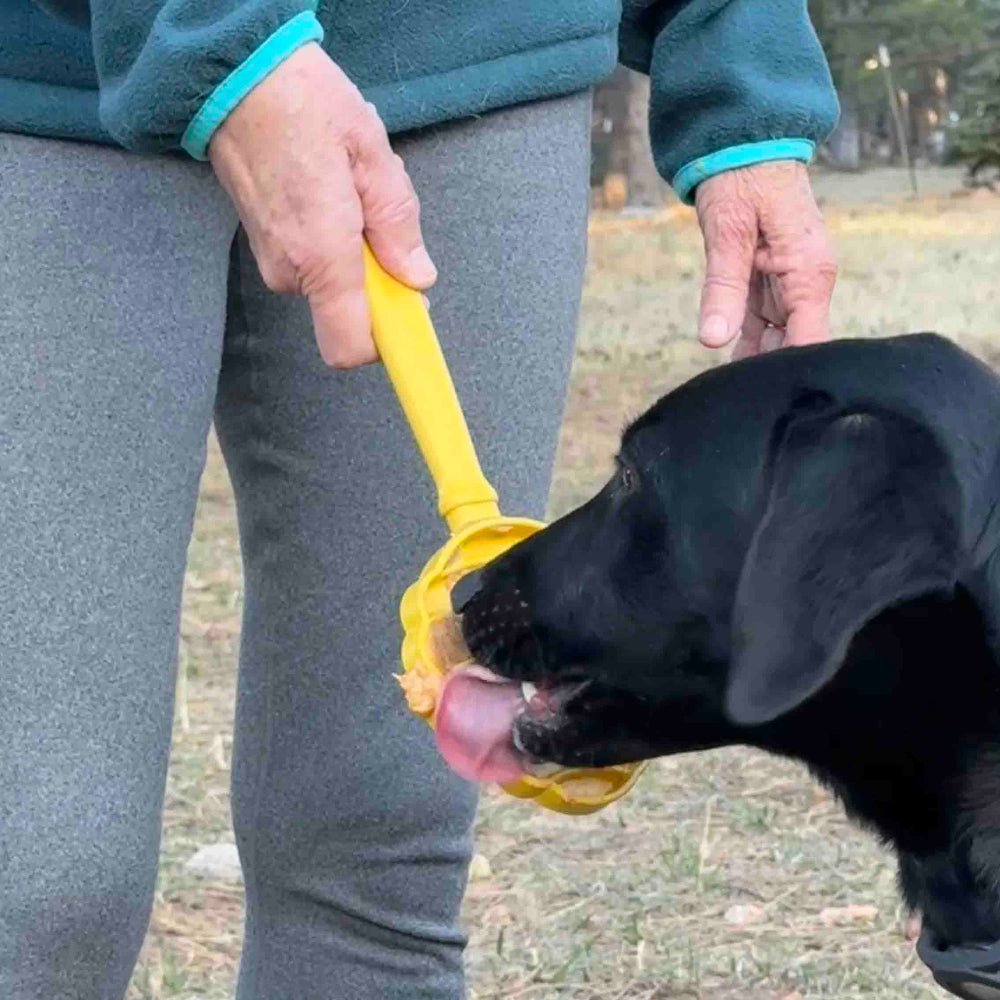 eStick Hand-Held Dog Enrichment Toy - Interactive Lick Stick | USA Made - BIG FRENCHIES