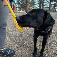 eStick Hand-Held Dog Enrichment Toy - Interactive Lick Stick | USA Made - BIG FRENCHIES