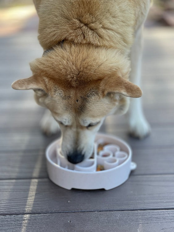 Java eBowl Deep Slow Feeder Dog Bowl for Enrichment | USA Made - BIG FRENCHIES