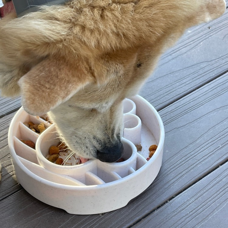 Java eBowl Deep Slow Feeder Dog Bowl for Enrichment | USA Made - BIG FRENCHIES