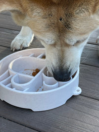 Java eBowl Deep Slow Feeder Dog Bowl for Enrichment | USA Made - BIG FRENCHIES
