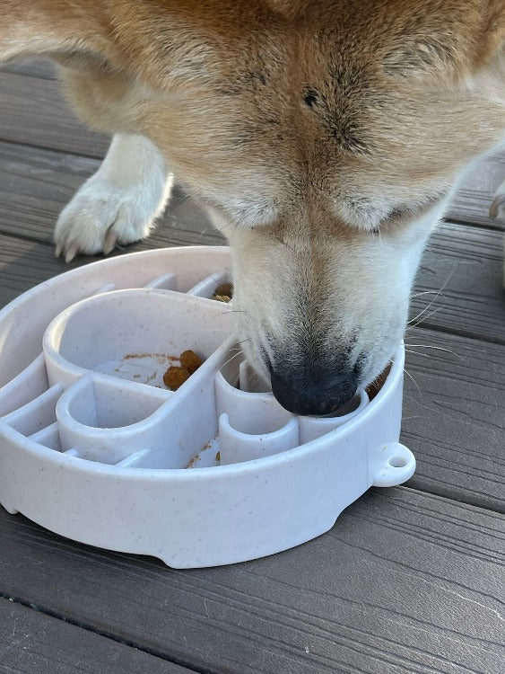 Java eBowl Deep Slow Feeder Dog Bowl for Enrichment | USA Made - BIG FRENCHIES
