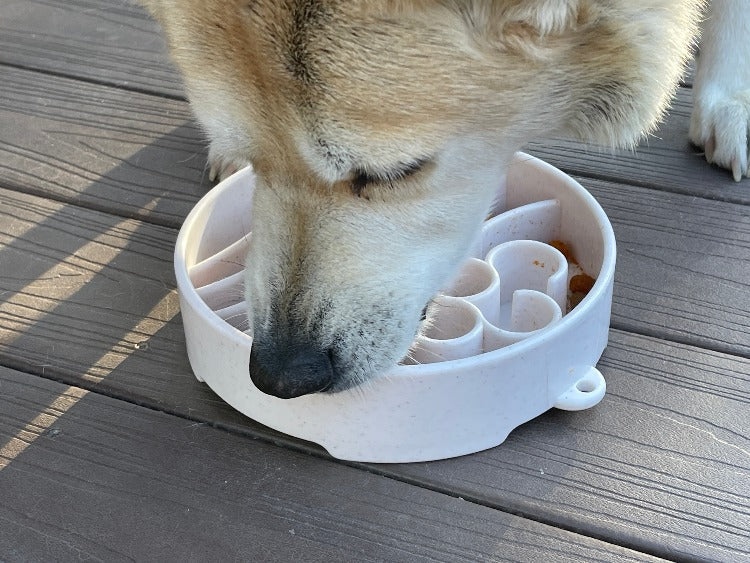 Java eBowl Deep Slow Feeder Dog Bowl for Enrichment | USA Made - BIG FRENCHIES