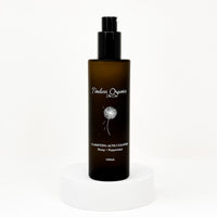 Clarifying Acne Cleanser - BIG FRENCHIES