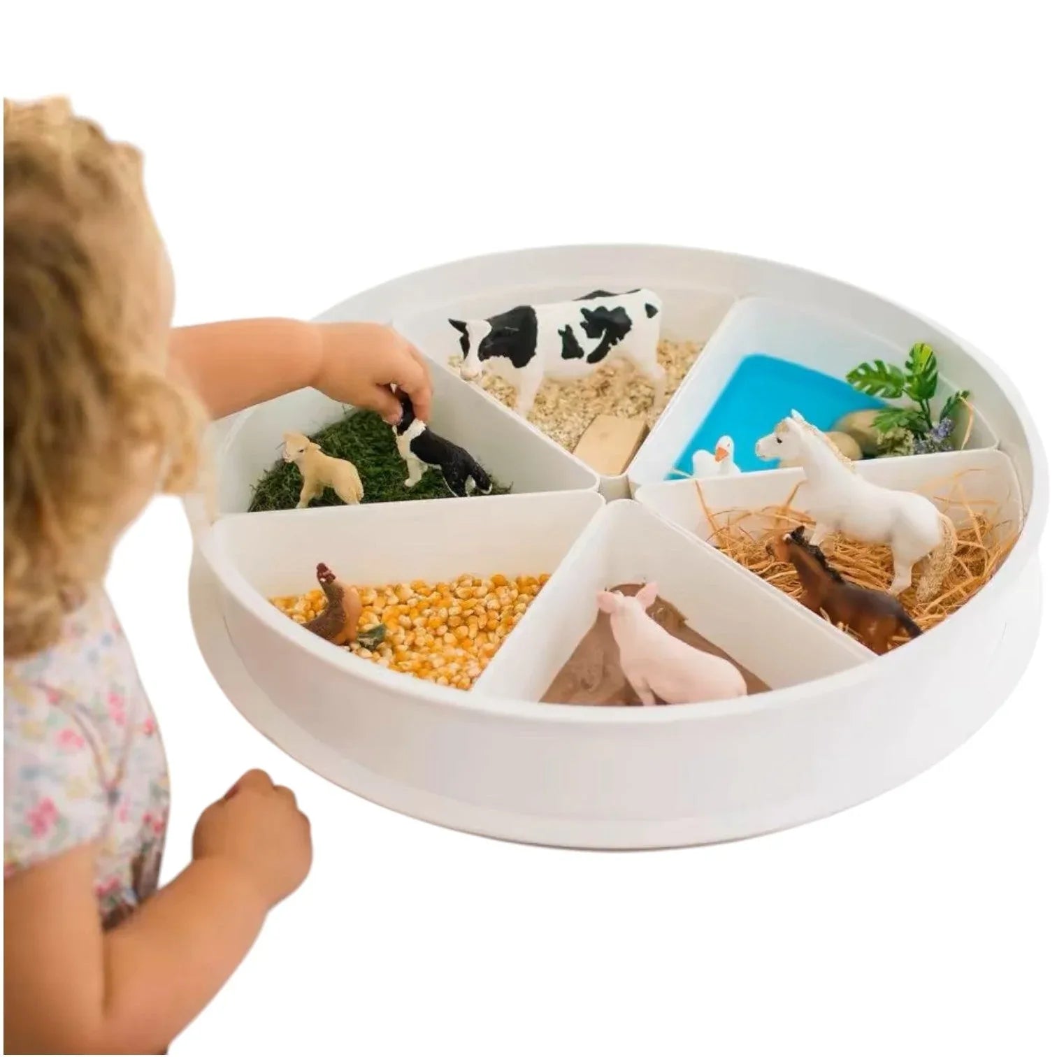 Sensory Play Tray with Removable Compartments and Lid - BIG FRENCHIES