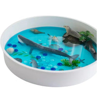 Sensory Play Tray with Removable Compartments and Lid - BIG FRENCHIES