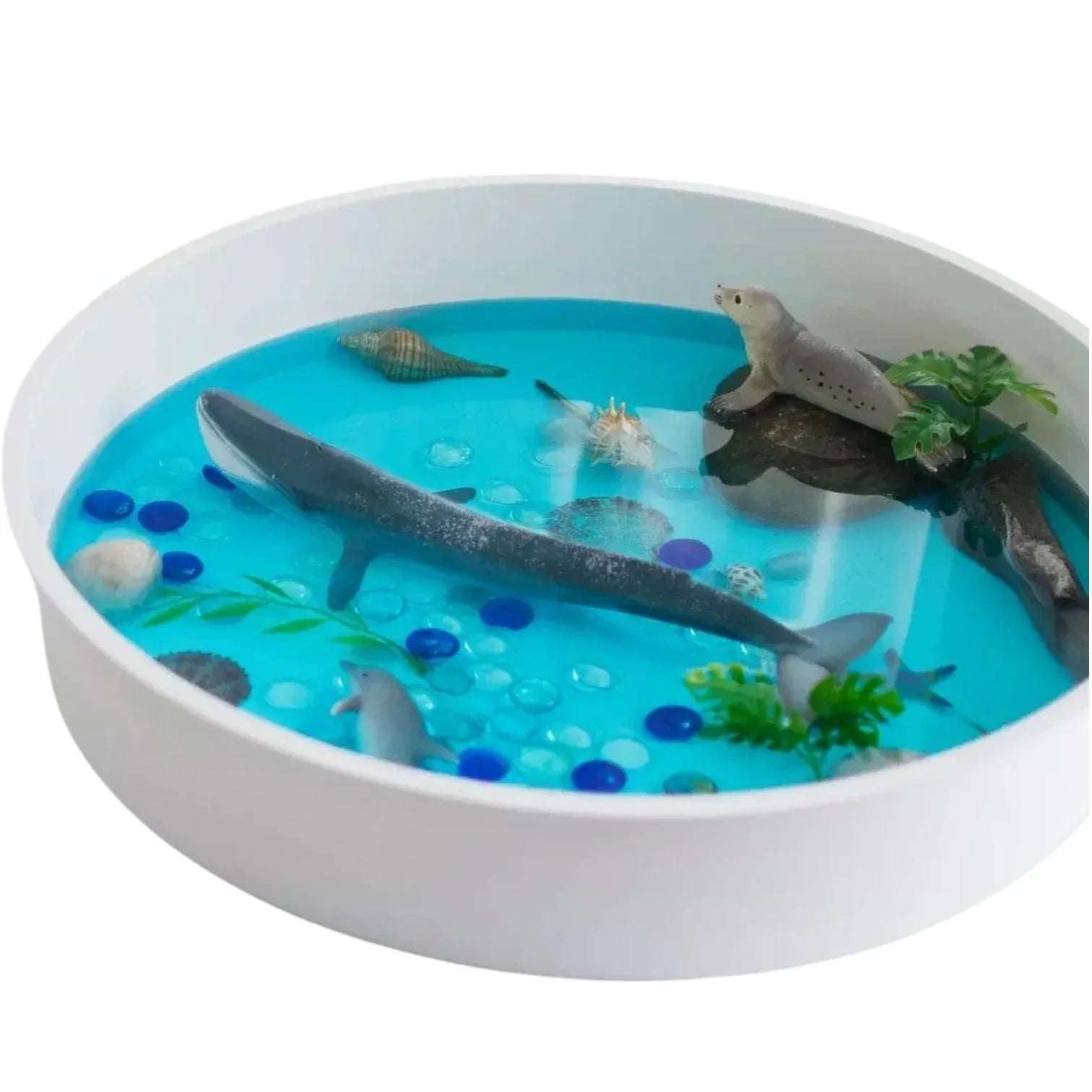 Sensory Play Tray with Removable Compartments and Lid - BIG FRENCHIES