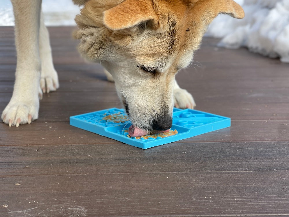 Sky eMat - Enrichment Lick Mat for Dogs and Cats | Celestial Design | SodaPup - BIG FRENCHIES