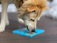 Sky eMat - Enrichment Lick Mat for Dogs and Cats | Celestial Design | SodaPup - BIG FRENCHIES