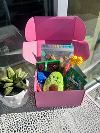 Pawliday Box (SOLD OUT)