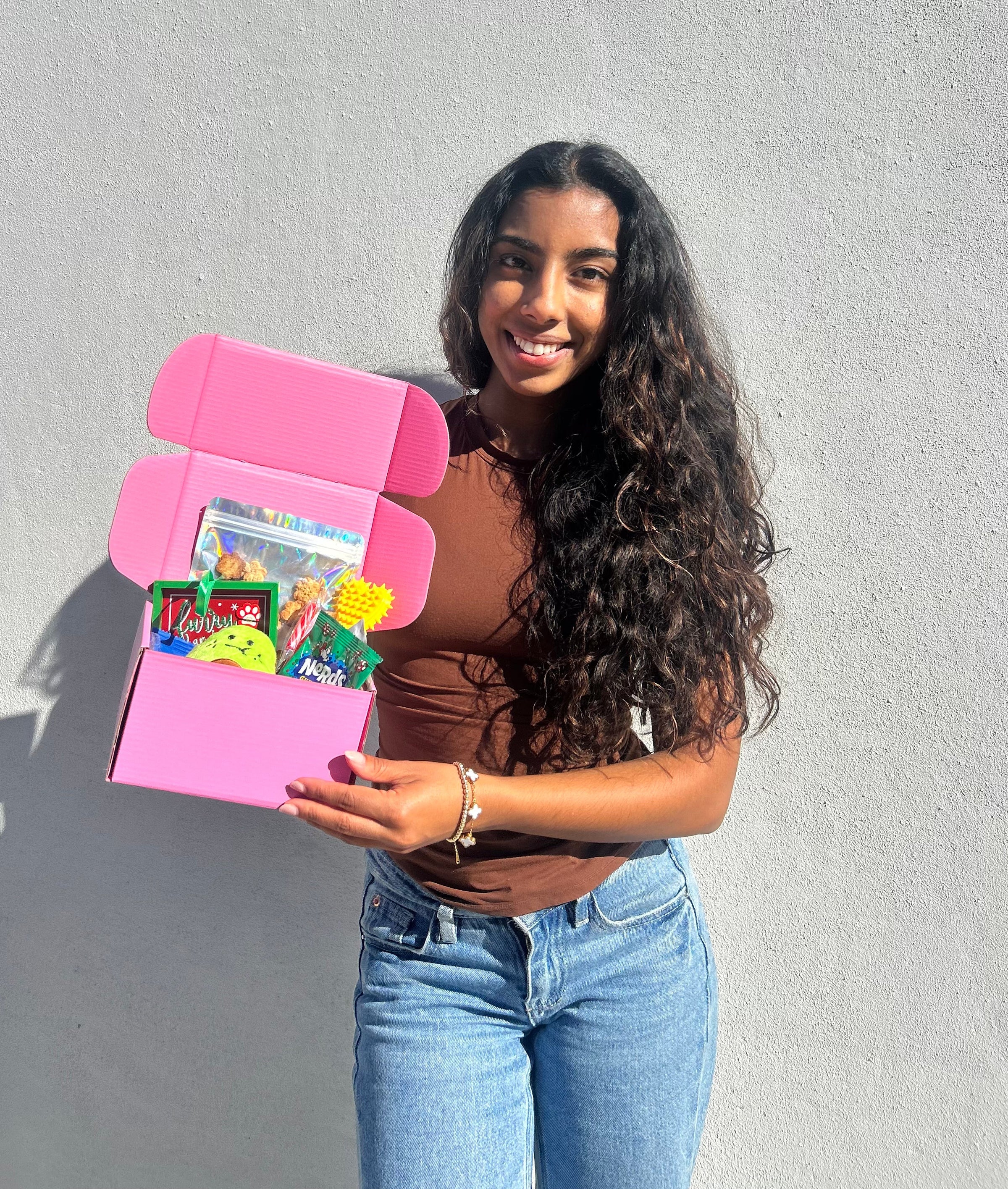 Pawliday Box (SOLD OUT)